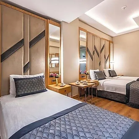 Hotel Endican Sultanahmet 3*